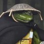 Raphael Old Man