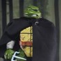 Raphael Old Man