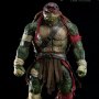 Teenage Mutant Ninja Turtles: Raphael