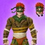Teenage Mutant Ninja Turtles: Rat King Ultimates