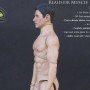 Bodies: Realistik Muscle Body Caucasian