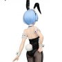 Rem BiCute Bunnies