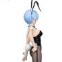 Rem BiCute Bunnies