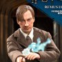 Remus Lupin Deluxe