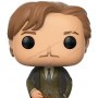 Harry Potter: Remus Lupin Pop! Vinyl