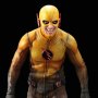 Reverse Flash