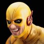 Reverse Flash