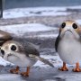 Rey Jedi Training