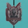 Rhaenys Targaryen Collector Box