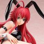 Rias Gremory Bare Leg Bunny