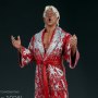 Ric Flair (Pop Culture Shock)