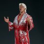 Ric Flair (Pop Culture Shock)