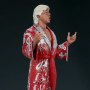 Ric Flair