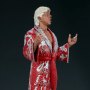 Ric Flair (Pop Culture Shock)