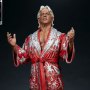 WWE Wrestling: Ric Flair (Pop Culture Shock)