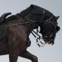 Ringwraith Deluxe