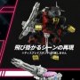 RMZ-006 Saber Tiger Schwarz Special