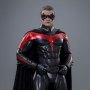 Robin