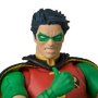 Robin