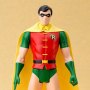 Robin Classic Costume