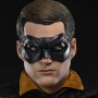 Robin Night Color Edition