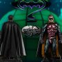 Robin Night Color Edition