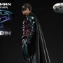 Robin Night Color Edition
