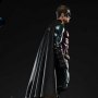 Robin Night Color Edition