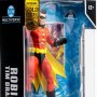 Robin Tim Drake Gold Label