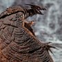 Rodan