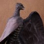 Rodan (Azai Zoukei)