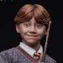 Ron Weasley Standard