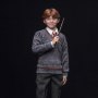 Ron Weasley Standard