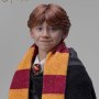 Ron Weasley Standard