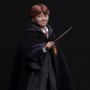 Ron Weasley Standard