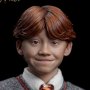 Ron Weasley Standard