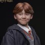 Ron Weasley Standard