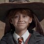 Ron Weasley Deluxe