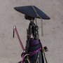 Ronin