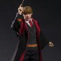 Ron Weasley Year Three