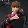 Ron Weasley Year Three