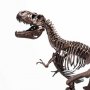 Rotunda T-Rex Skeleton Bronze