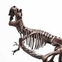 Jurassic Park: Rotunda T-Rex Skeleton Bronze