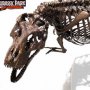 Rotunda T-Rex Skeleton Bronze