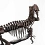 Rotunda T-Rex Skeleton Bronze