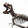 Jurassic Park: Rotunda T-Rex Skeleton Bronze