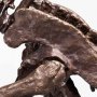 Rotunda T-Rex Skeleton Bronze