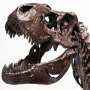 Rotunda T-Rex Skeleton Bronze