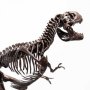 Rotunda T-Rex Skeleton Bronze