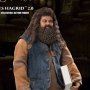 Rubeus Hagrid 2.0